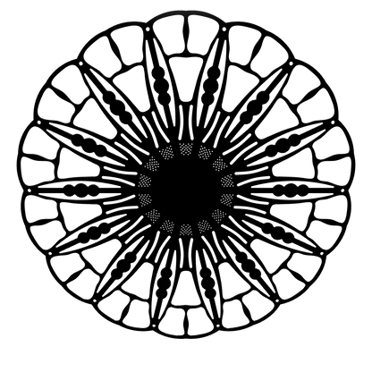 3D model of KuvaLight Anemone wall lamp in piano glossy black finish, ⌀ 115 cm, viewable in AR to visualize in your own space.