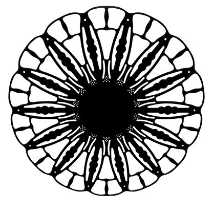 3D model of KuvaLight Anemone wall lamp in glossy black finish, ⌀ 80 cm, viewable in AR to visualize in your own space.