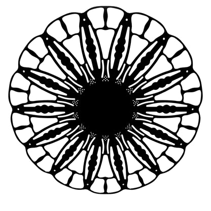 Wall Lamp Anemone